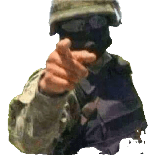 Ejército mexicano 11