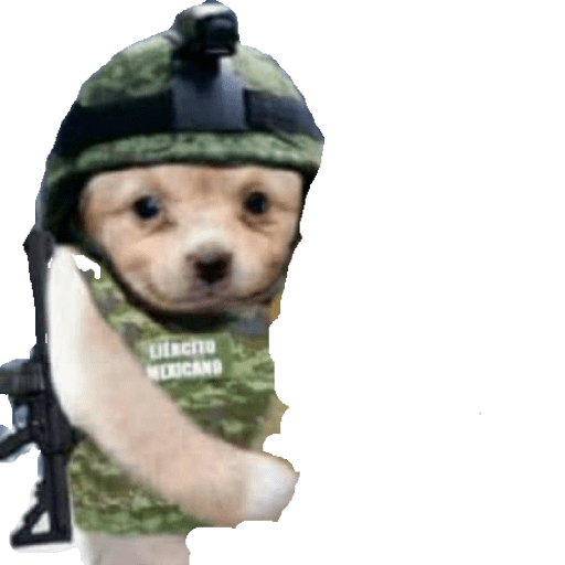Ejército mexicano 9