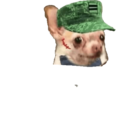 Ejército mexicano 7