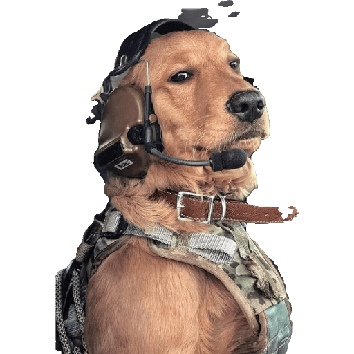 Ejército mexicano 8