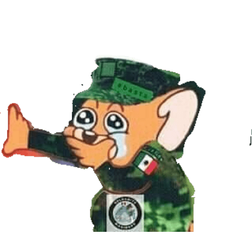 Ejército mexicano 13