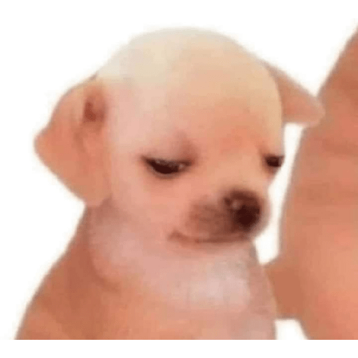Límmiði