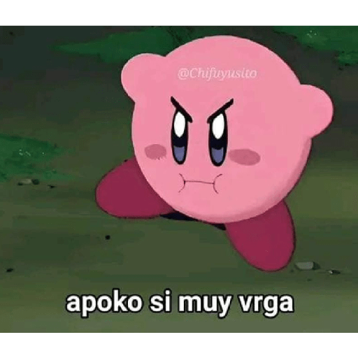 Poyo  6