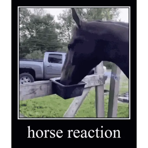 GIFS 5