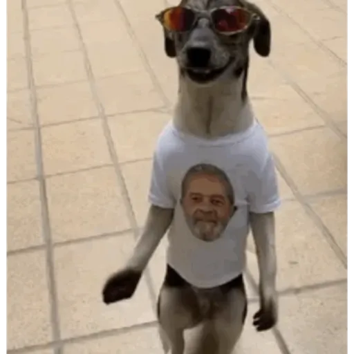 .... 10