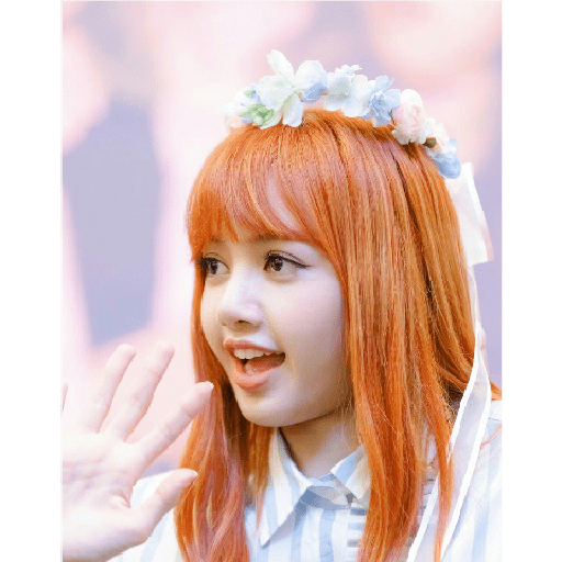 Blackpink 4