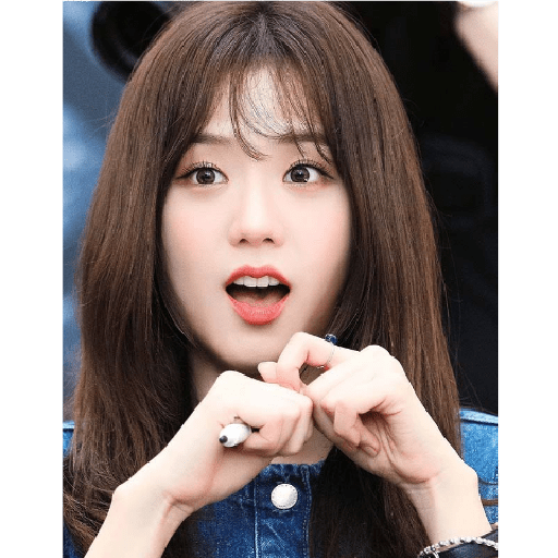 Blackpink 24