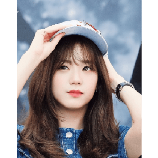 Blackpink 27