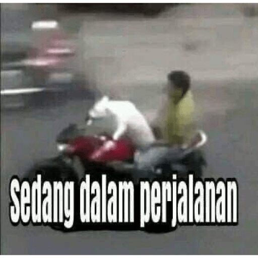 Sticker 10
