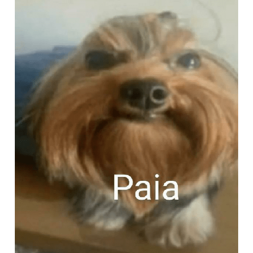 Chitpost br 4