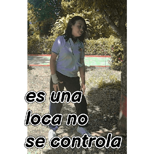 La Quesa 13