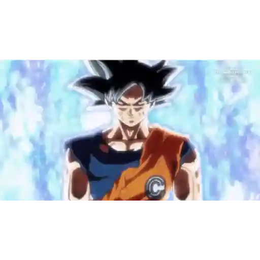 El que se lo robe es gay 14