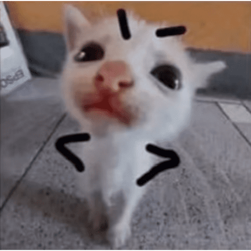 Tik tok 10