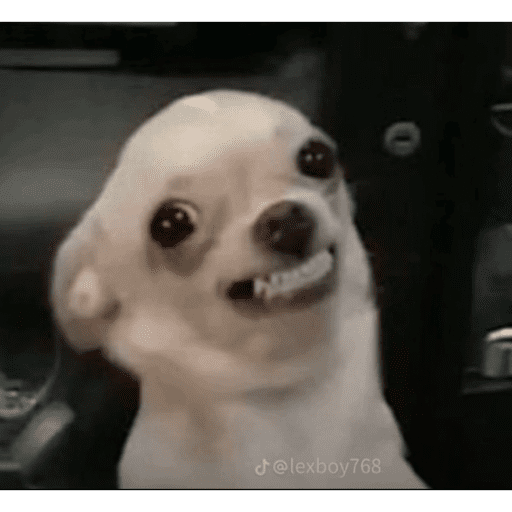 Tik tok 16