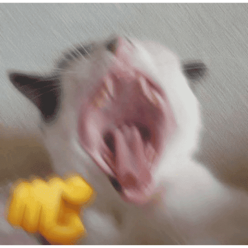 Tik tok 14