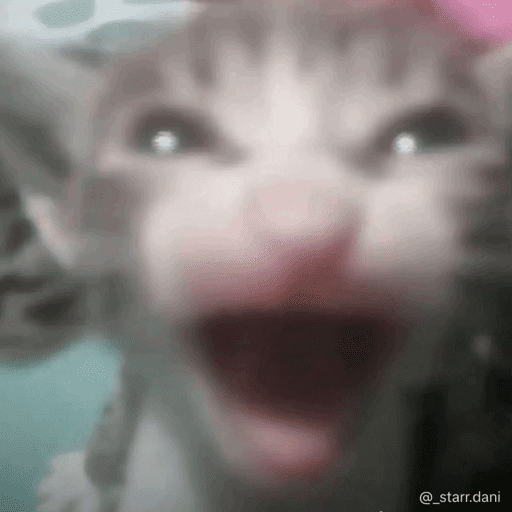 Tik tok 19