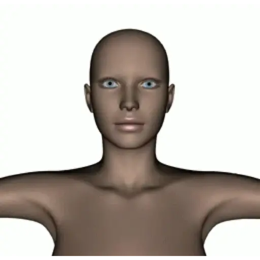 Figuras 19