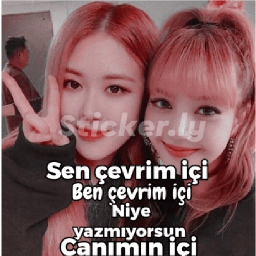 Sticker Image