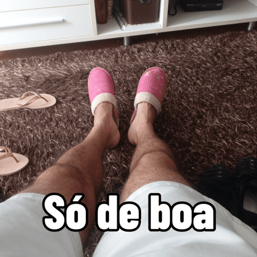Minhas figurinhas 2