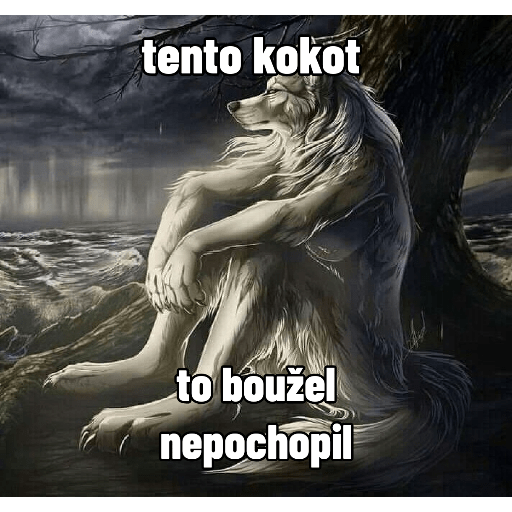 Anime 13