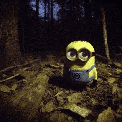 Nem sei 13