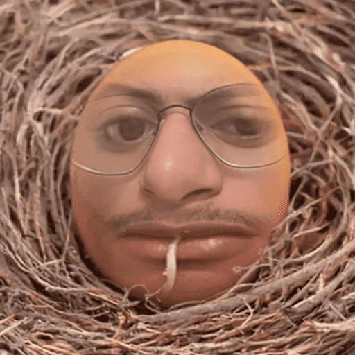 Aleatorias 5