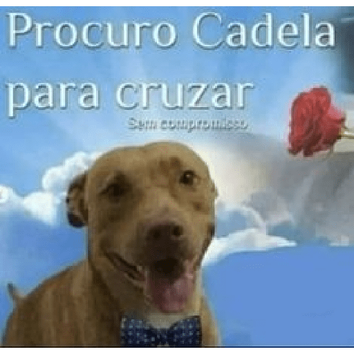 Eita 🙀 19