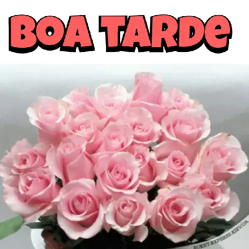 Flores  2