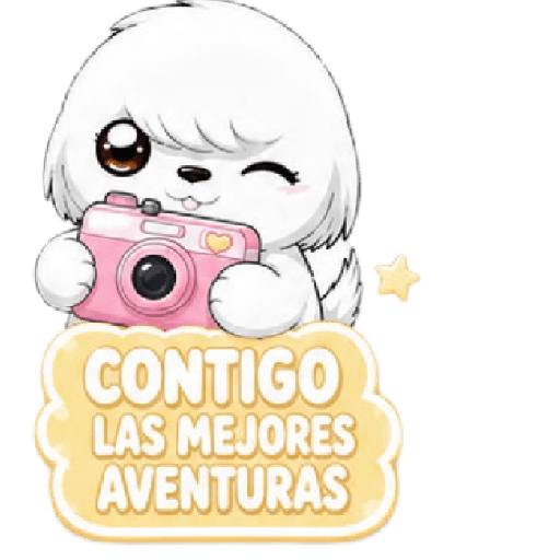 Beloni Amistad 🐾✨🌈 3