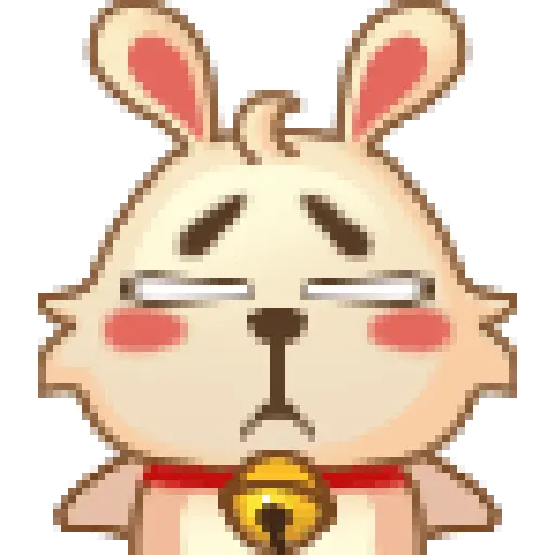 Funny Rabbit 🐰✨ 16