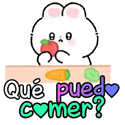 Bunny cute texto para chat 🐇💬 7