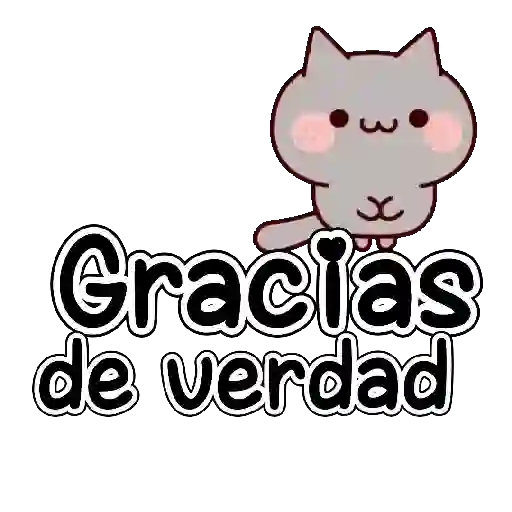 Gatitos con texto 🐾💬✨ 13