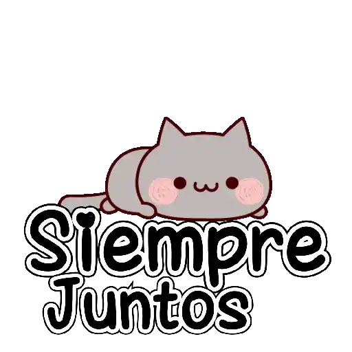 Gatitos con texto 🐾💬✨ 7