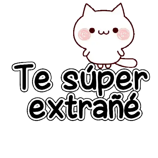 Gatitos con texto 🐾💬✨ 2