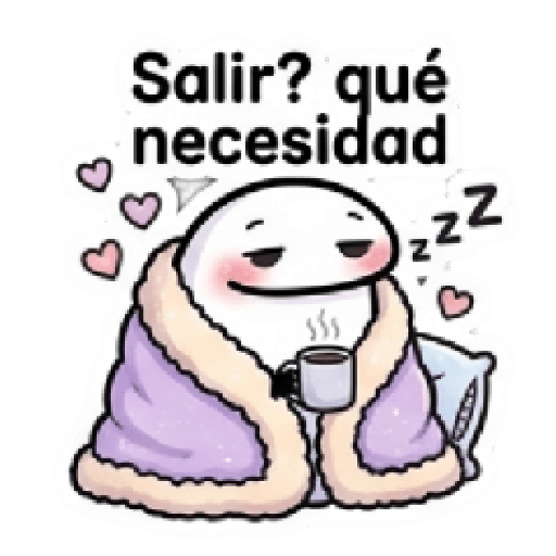 FAN DE QUEDARSE EN CASA FLORK