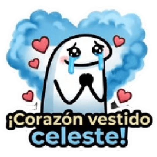 Argentina alentando FLORK 🇦🇷 11