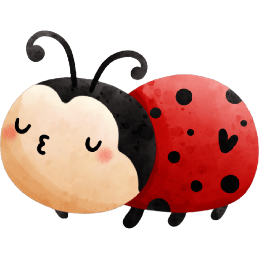 Love Bug 🐞❤️