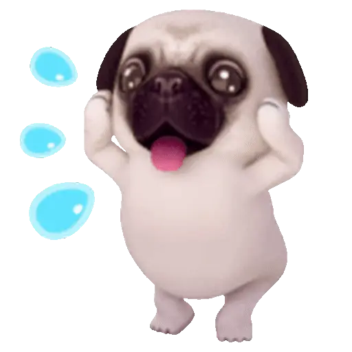 Simpático Pug 🐾🐕