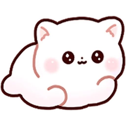 Gatito blanco muy cute 🐾✨ 7