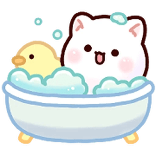Gatito blanco muy cute 🐾✨ 8