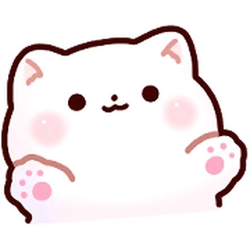 Gatito blanco muy cute 🐾✨ 10