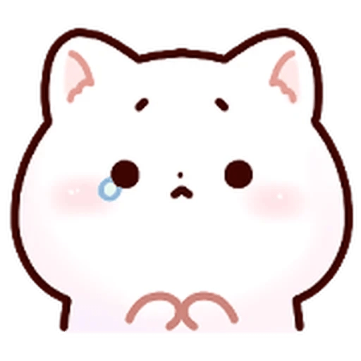 Gatito blanco muy cute 🐾✨ 11