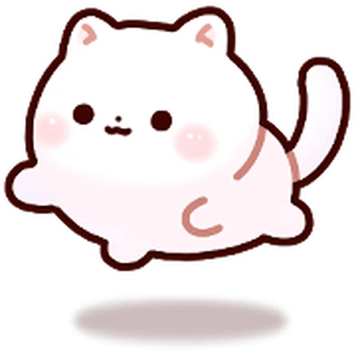 Gatito blanco muy cute 🐾✨ 14