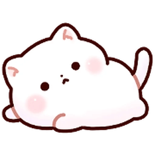 Gatito blanco muy cute 🐾✨ 15