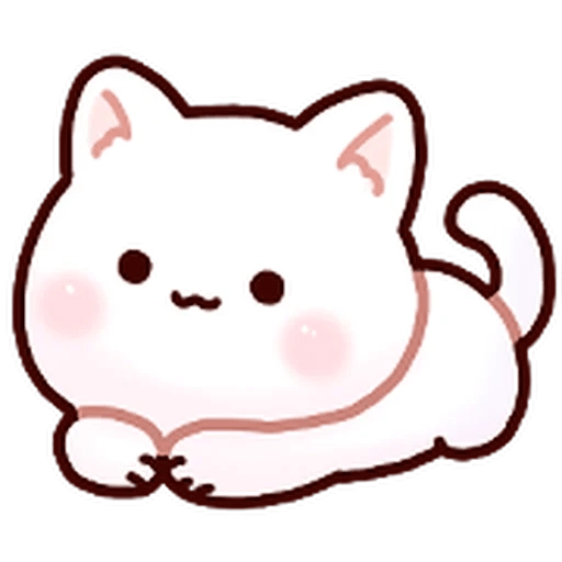 Gatito blanco muy cute 🐾✨ 16