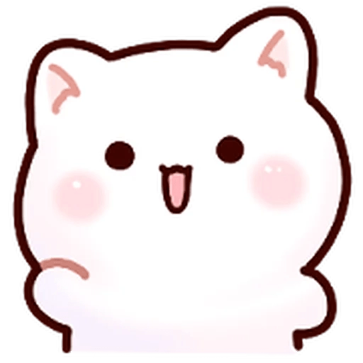 Gatito blanco muy cute 🐾✨ 17