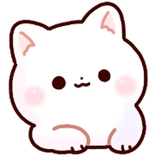 Gatito blanco muy cute 🐾✨ 18