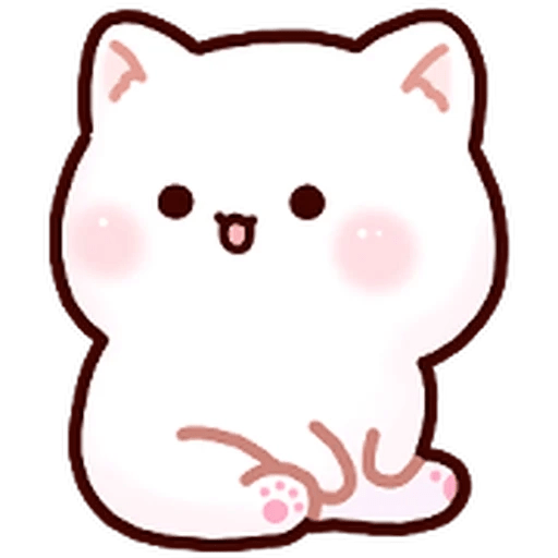 Gatito blanco muy cute 🐾✨ 19