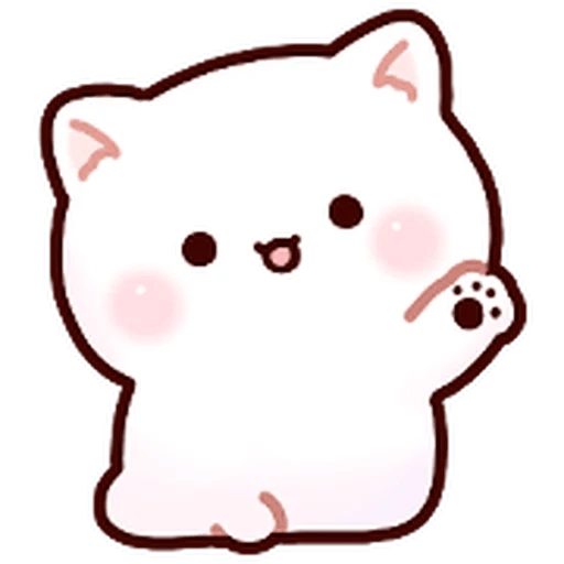 Gatito blanco muy cute 🐾✨ 21