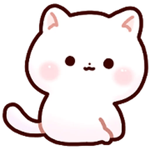 Gatito blanco muy cute 🐾✨ 22